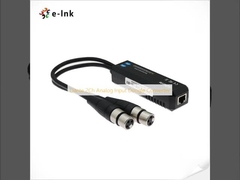 ダンテ 2Ch アナログ入力ドングル変換器